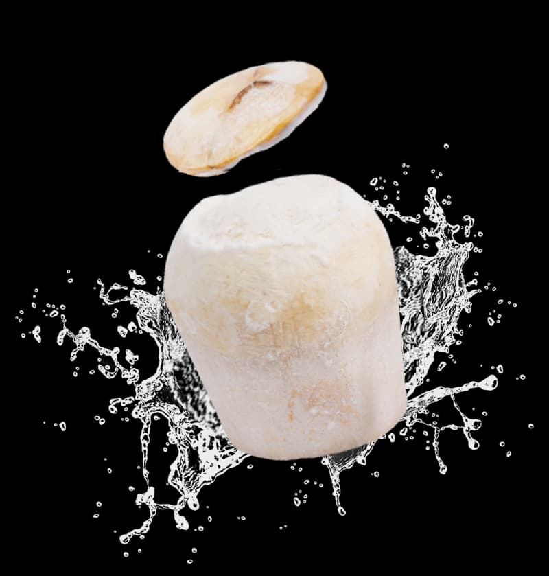 Coconut-flavored ice cream served in coconut